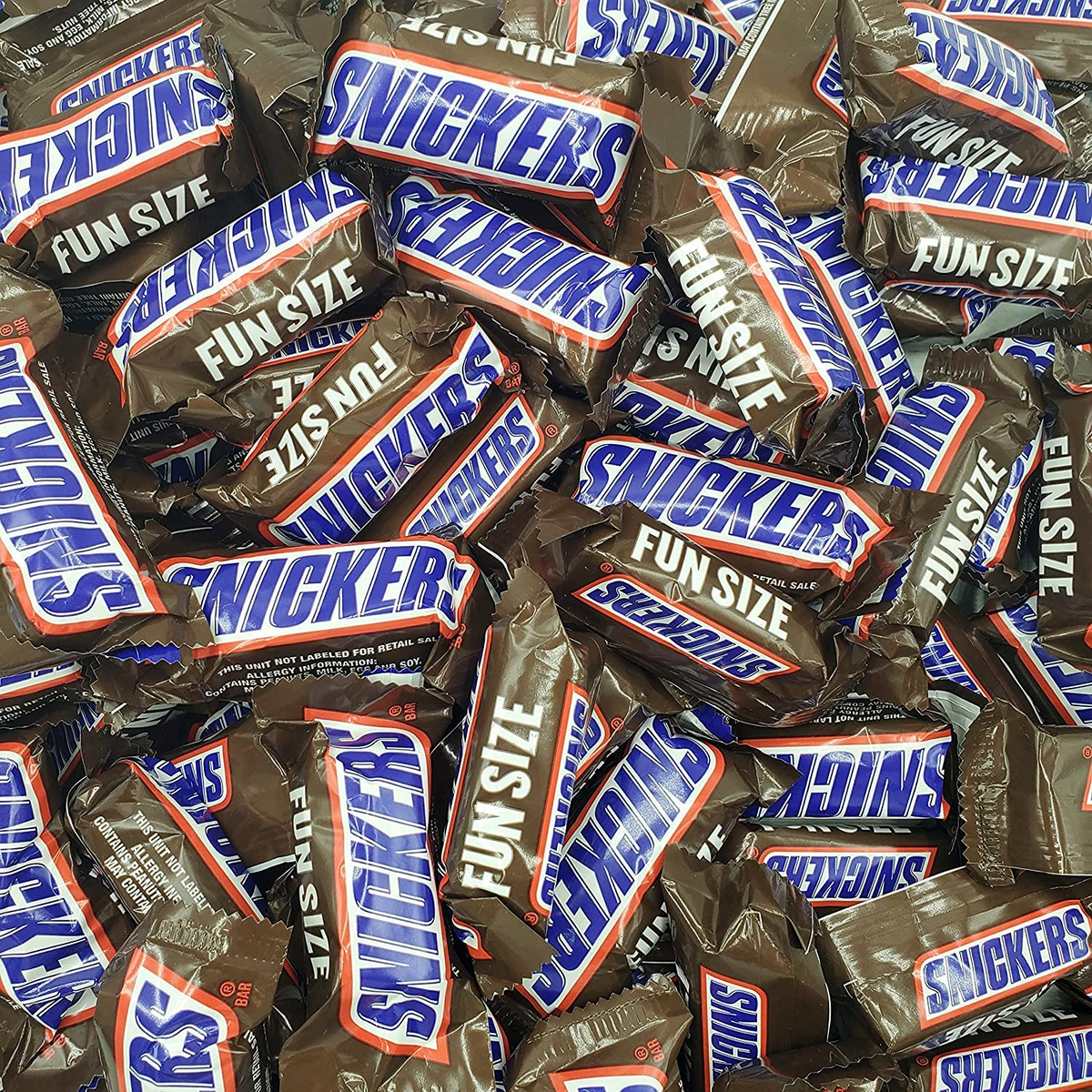 Snickers Fun Size 20 Lb